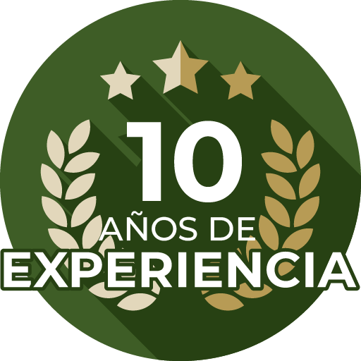 Experience